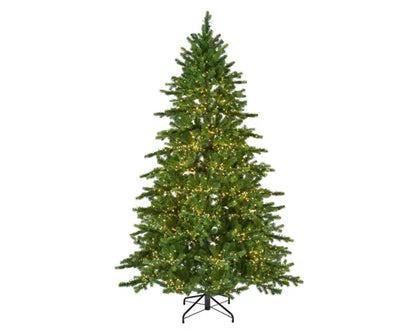 Pre-order Galloway Spruce LED 210cm