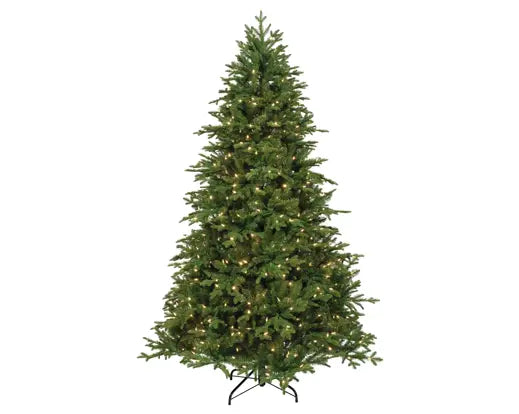 Pre-order Andalo Fir Nostalgic 210cm