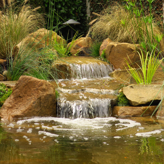 Elevate Ponds at Moss & Moor