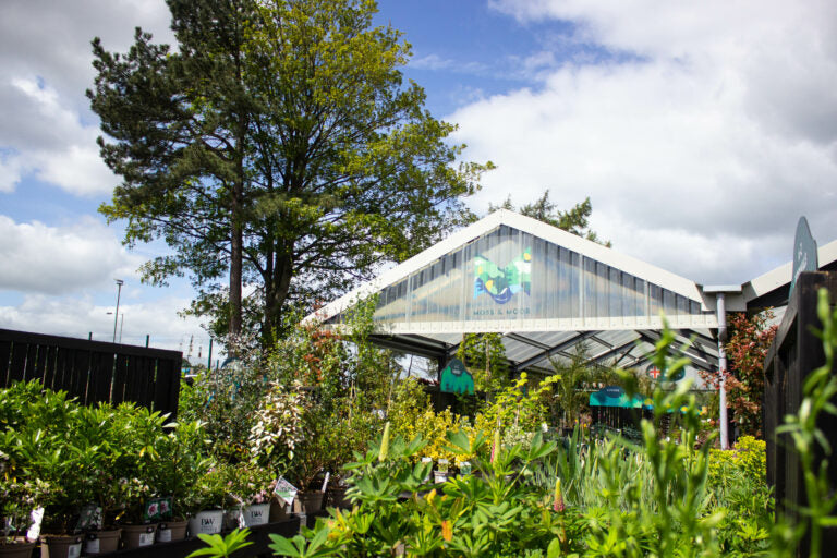 Moss Moor Garden Centre And Restaurant Yorkshire moss-moor-garden-centre-and-restaurant-yorkshire