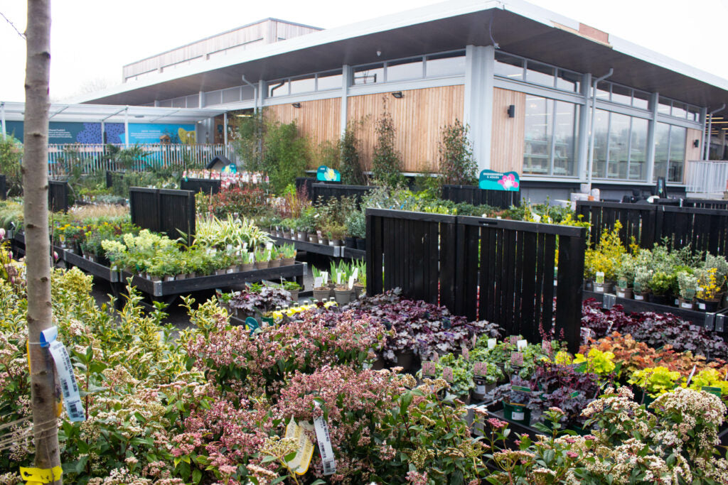 Moss Moor Garden Centre And Restaurant Yorkshire moss-moor-garden-centre-and-restaurant-yorkshire