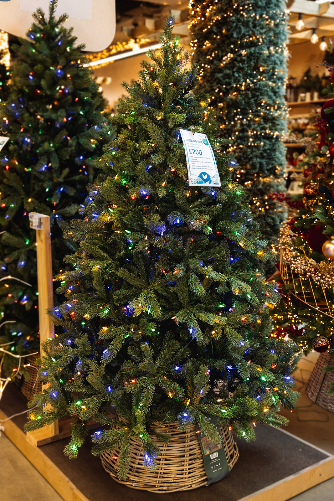 Freiburg Pine Nostalgic 6ft Pre-Lit Artificial Christmas Tree