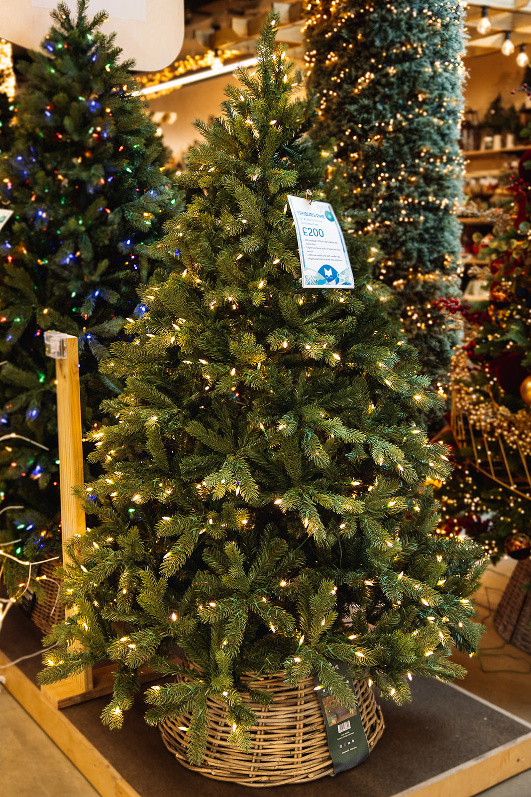 Freiburg Pine Nostalgic 6ft Pre-Lit Artificial Christmas Tree