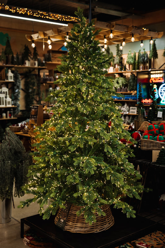 Galloway Spruce LED 7ft Pre-Lit Christmas Tree