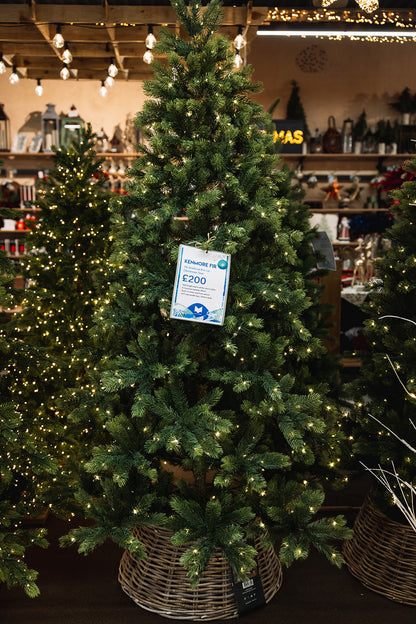 Kenmore Fir LED 7ft Pre-Lit Christmas Tree