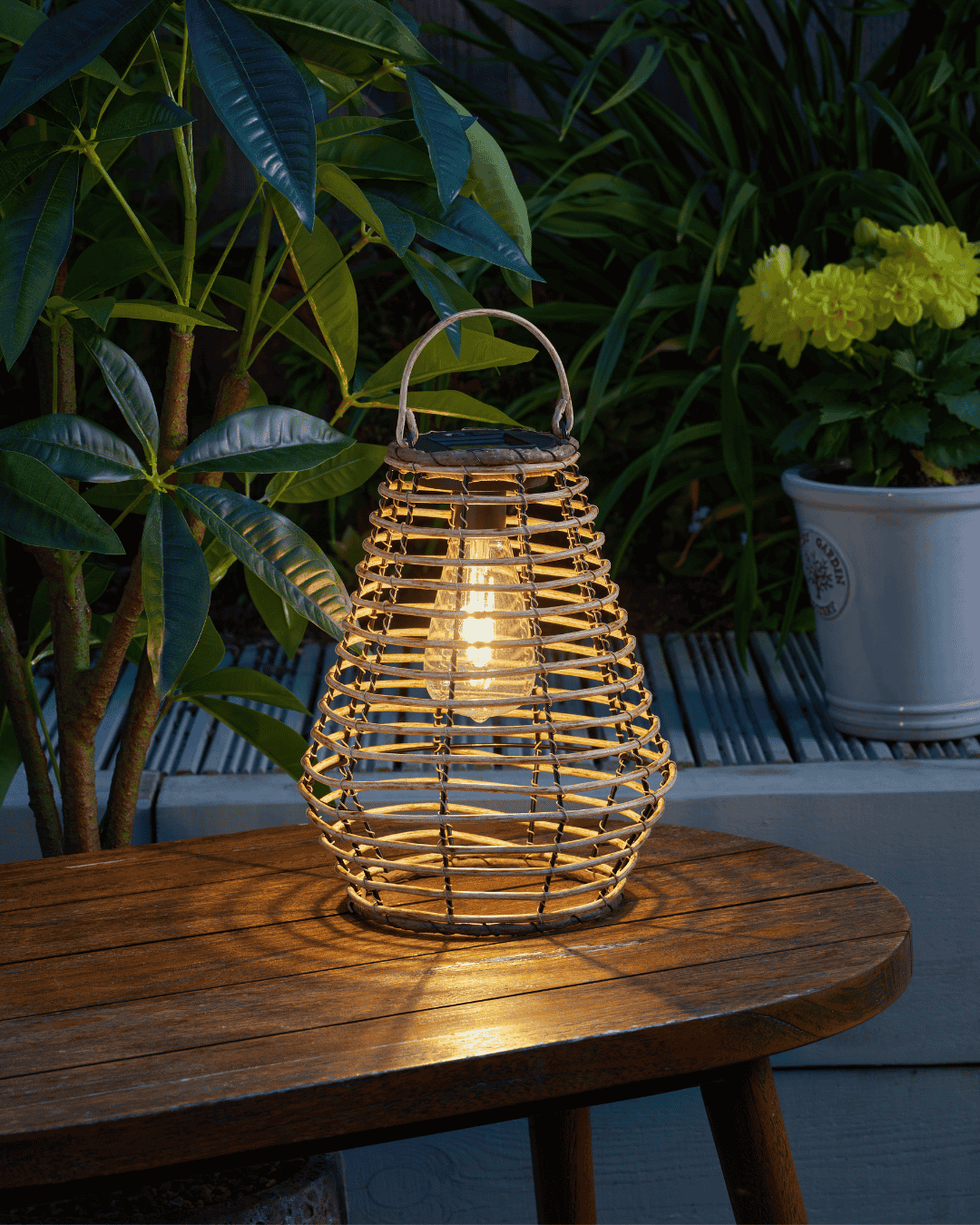 Maris Lantern