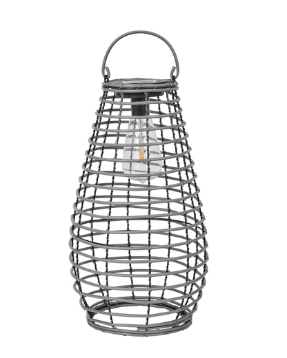 Venus Lantern