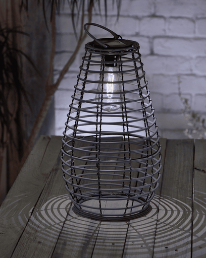 Venus Lantern